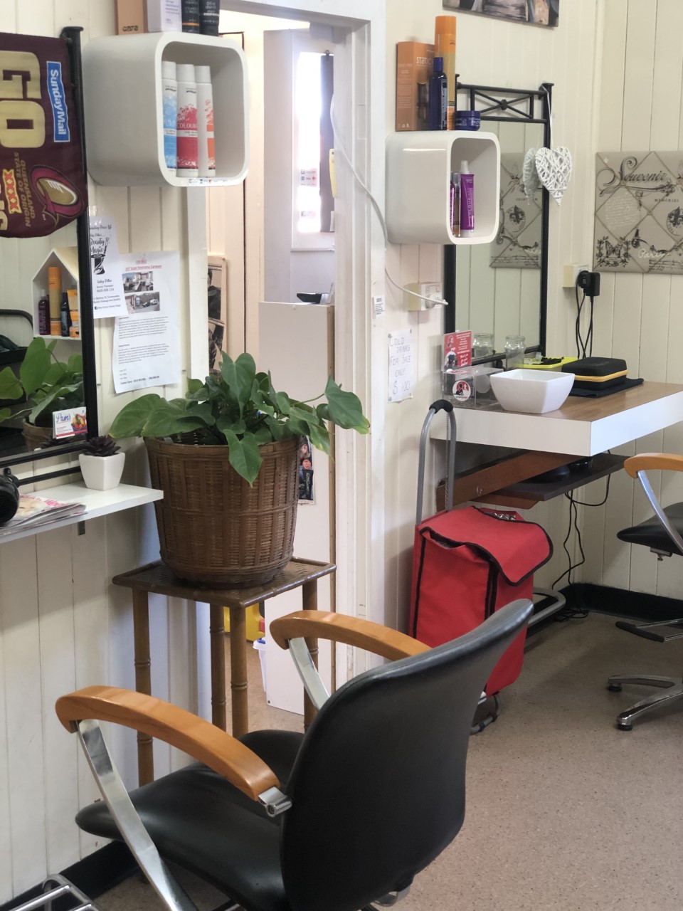 Inside the salon: a styling chair, a big potted plant and shelves of hair products
